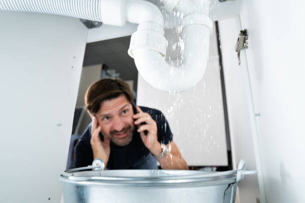 Best Same-Day Plumbing Service  in Danvers, IL