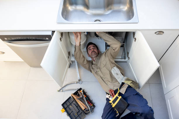 Best Best Plumbers Near Me  in Danvers, IL
