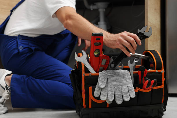 Best Commercial Plumbing Services  in Danvers, IL