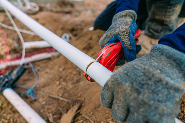 Best Leak Detection Services  in Danvers, IL